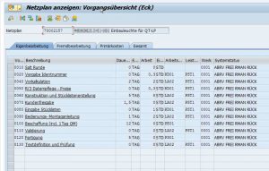 PS-Modul-Netzplanvorgang